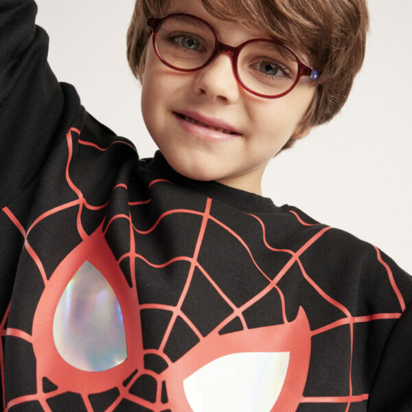 SPIDERMAN - DSAA079C14